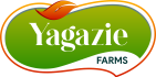 Yagazie-Logo
